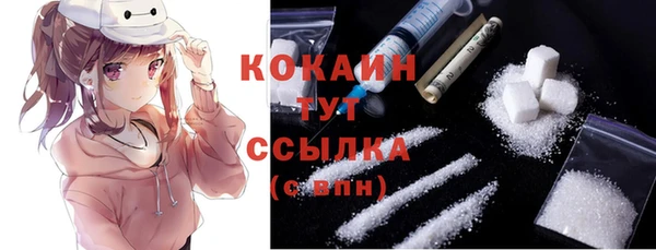 PSILOCYBIN Бронницы