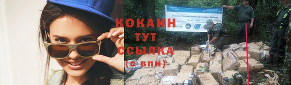 PSILOCYBIN Козловка