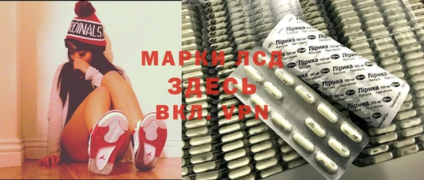 spice Бородино