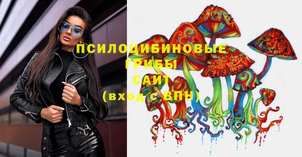 PSILOCYBIN Бронницы