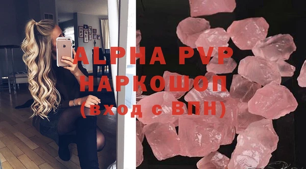 spice Бородино