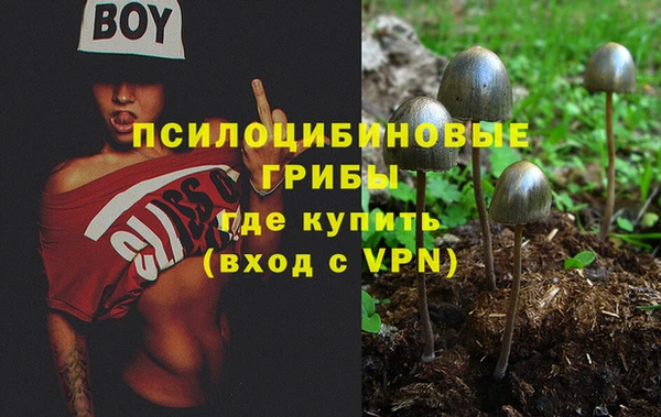 spice Бородино