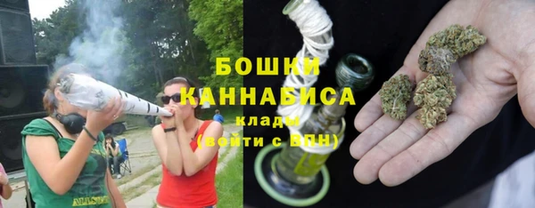 PSILOCYBIN Козловка