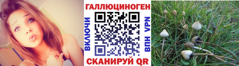 цена Мезень Галлюциногенные грибы Magic Shrooms